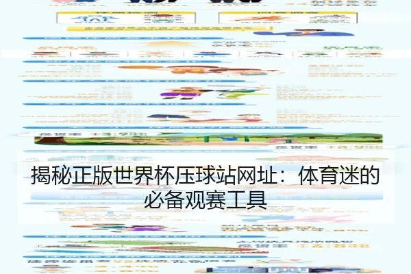 揭秘正版世界杯压球站网址：体育迷的必备观赛工具